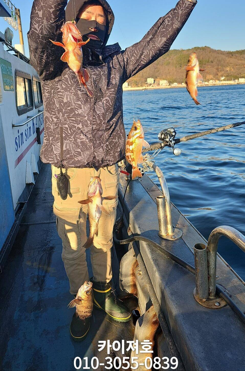 금 오전 볼락열기 외줄 모집중 입니다 (조황조행기 - 바다선상조황)