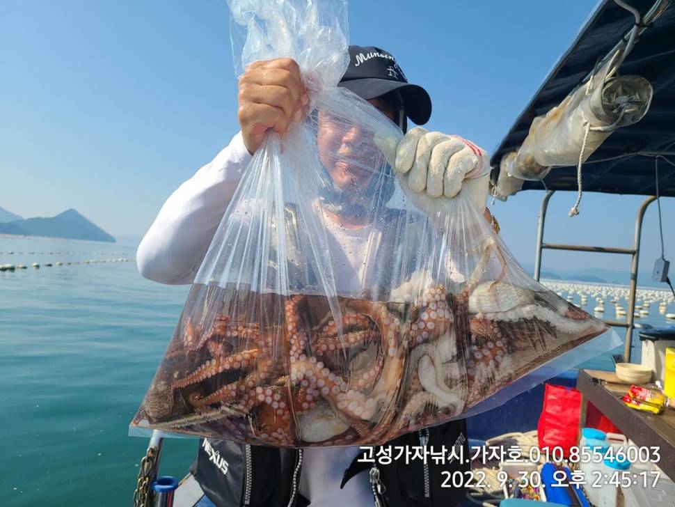 돌문어 금요일 묵직합니다 (조황조행기 - 바다선상조황)