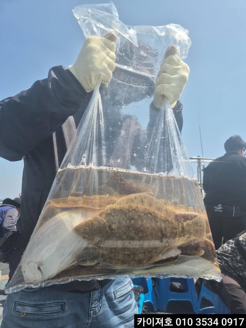 8일도다리참가자미 조황 (조황조행기 - 바다선상조황)