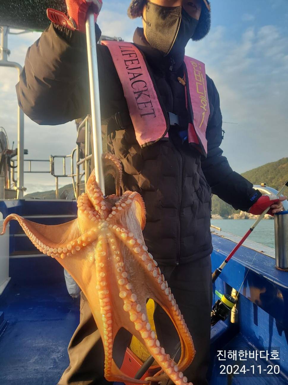 진해문어낚시 오늘도 묵직하게 올라오는 돌문어 쭉 뜯어올려주시며 찐한 손맛보고 왔습니다0 (조황조행기 - 바다선상조황)