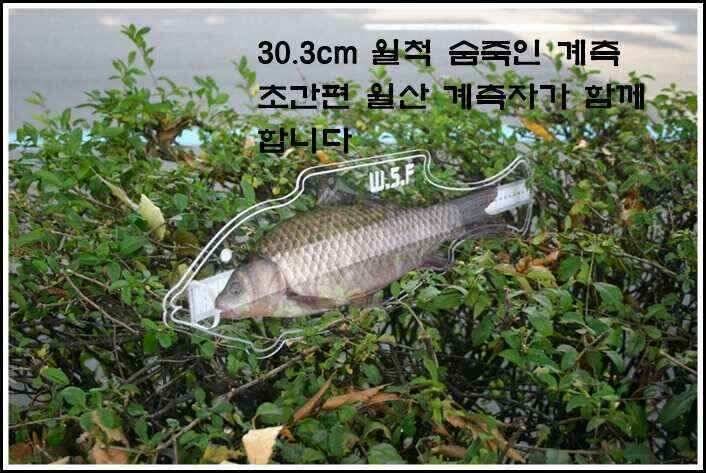 계측자 아시죠월산낚시 특별함을 (낚시용품정보 - 쇼핑몰홍보)