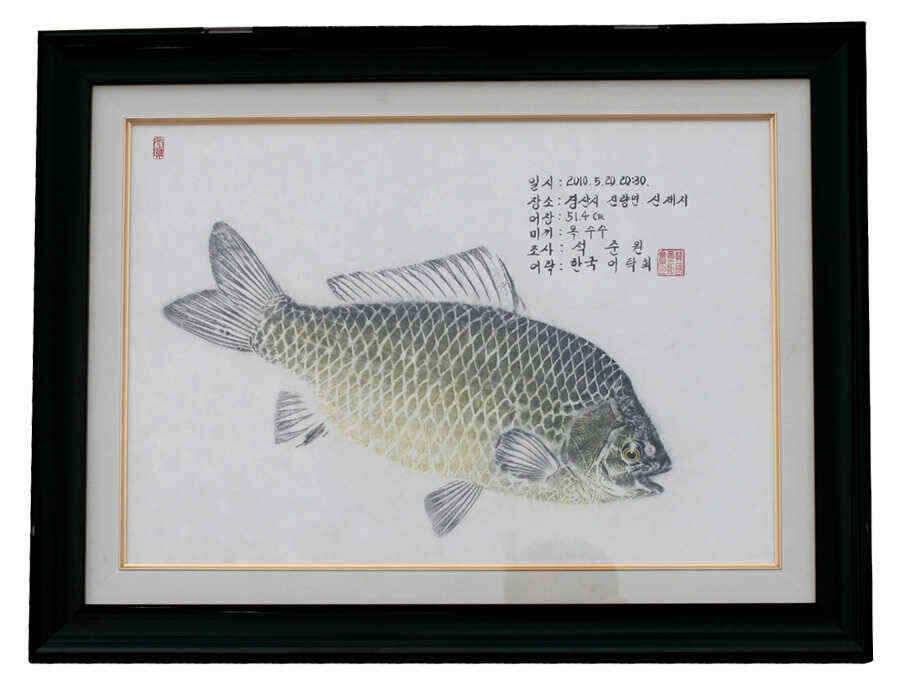 대물찌제작용 스기몸통 (낚시용품정보 - 쇼핑몰홍보)