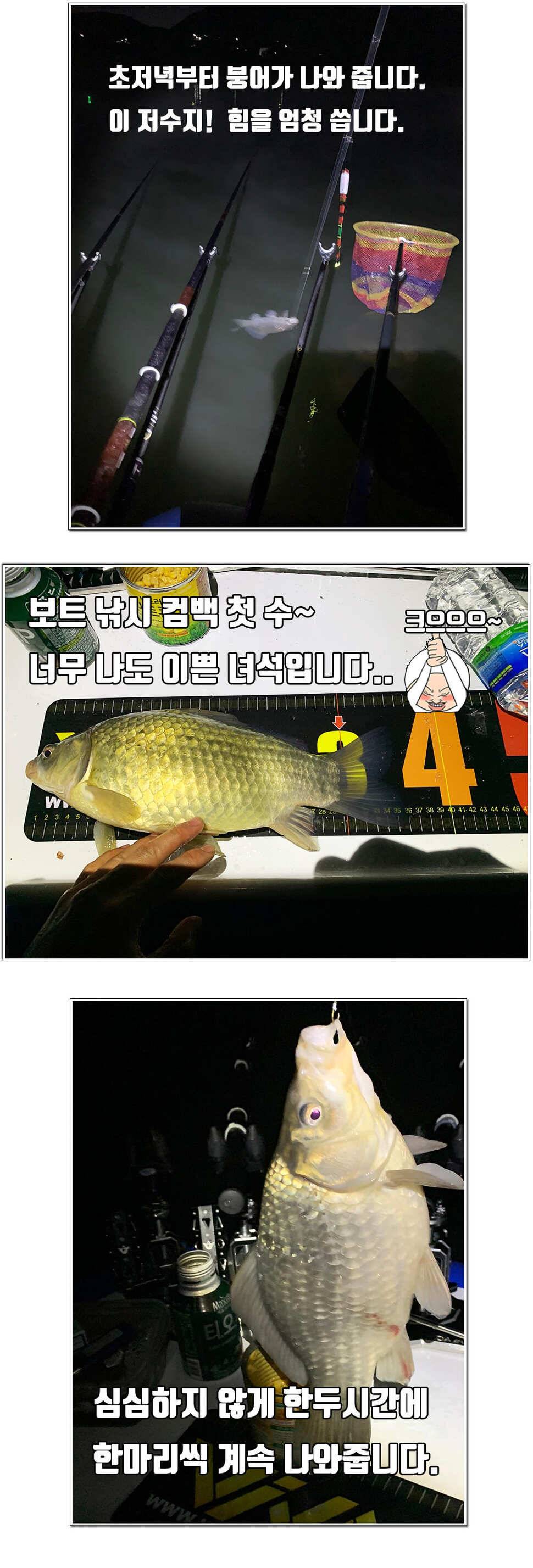비바 신형보트 큐브 시리즈 265 300 사용기 조행기 (사용기강좌 - 사용기)