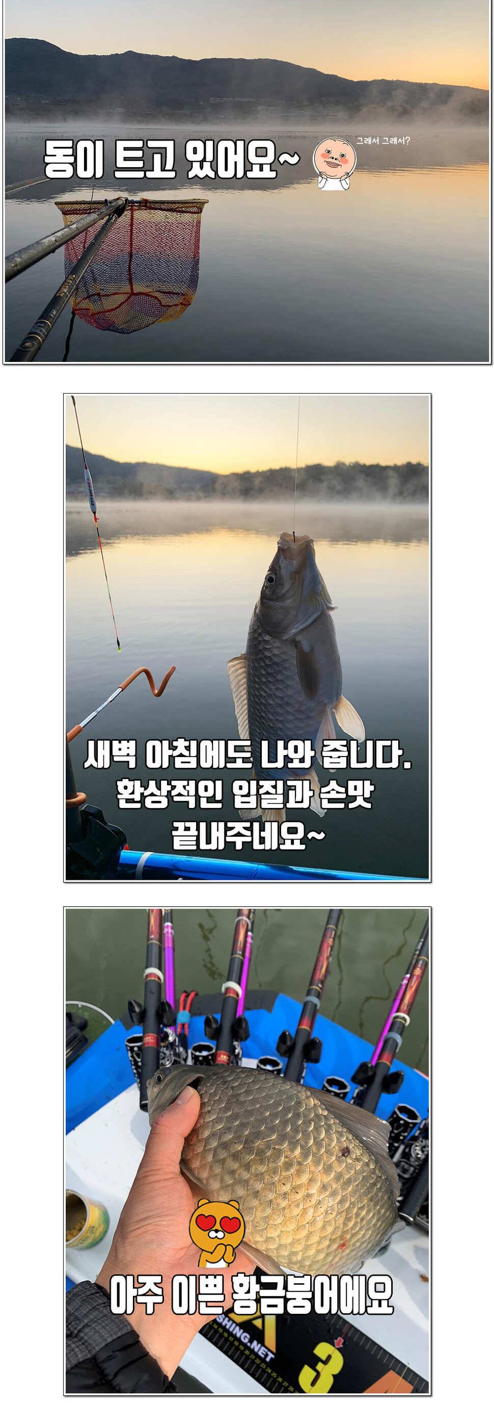 비바 신형보트 큐브 시리즈 265 300 사용기 조행기 (사용기강좌 - 사용기)