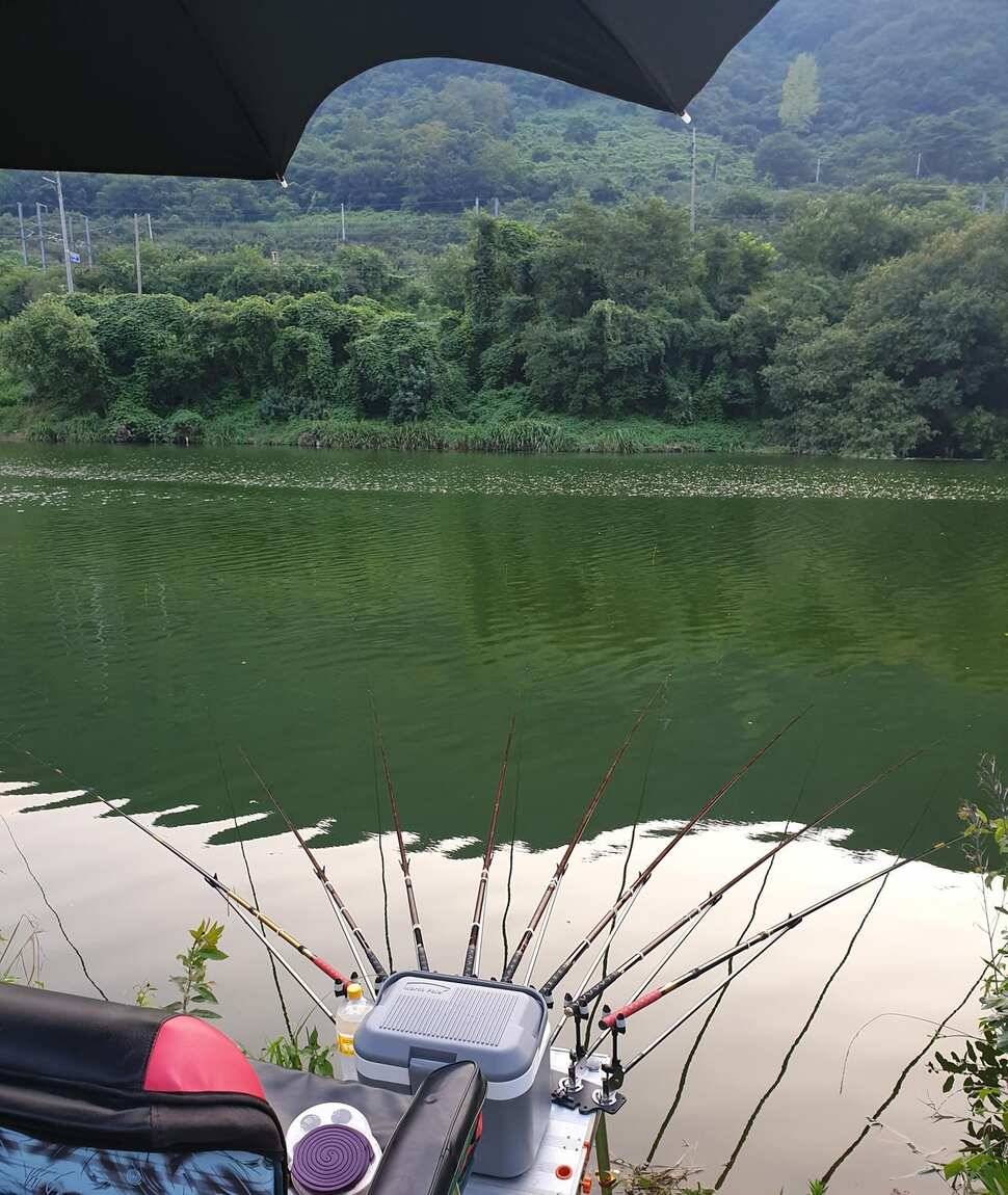 중국 발판 사용기 (사용기강좌 - 사용기)
