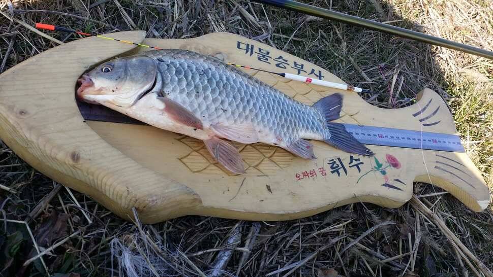 백발사 슬로프 찌 (사용기강좌 - 사용기)