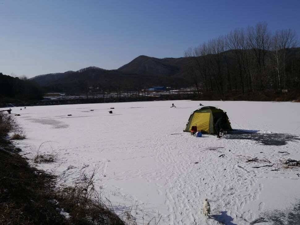 캠낚낚캠용 텐트 (사용기강좌 - 사용기)